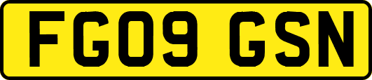 FG09GSN
