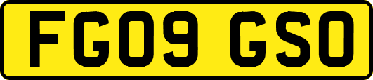 FG09GSO