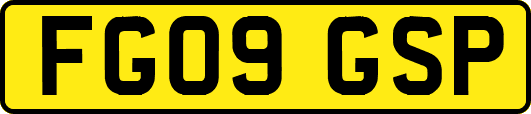 FG09GSP