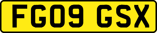 FG09GSX