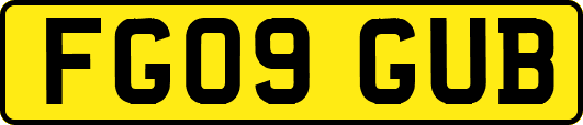 FG09GUB