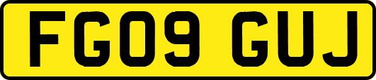 FG09GUJ