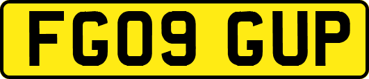 FG09GUP