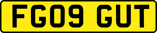 FG09GUT