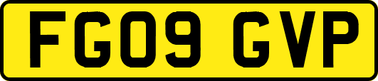 FG09GVP