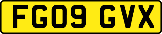 FG09GVX