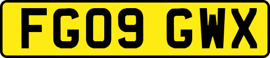FG09GWX