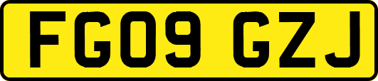 FG09GZJ