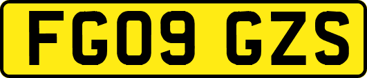 FG09GZS