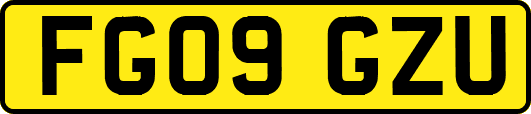 FG09GZU