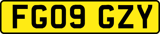 FG09GZY