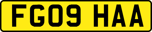 FG09HAA