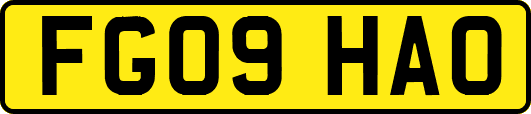 FG09HAO