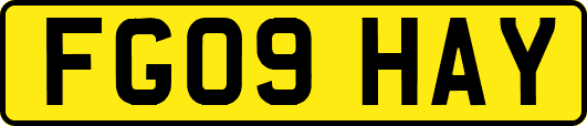 FG09HAY
