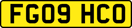 FG09HCO