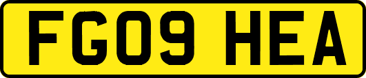 FG09HEA