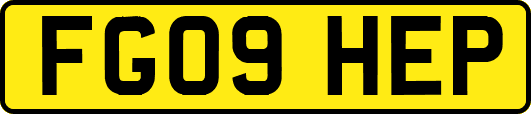 FG09HEP