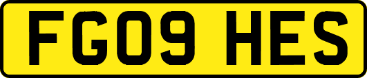 FG09HES