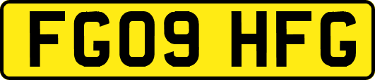 FG09HFG