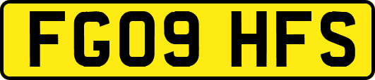 FG09HFS