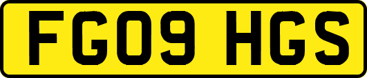 FG09HGS