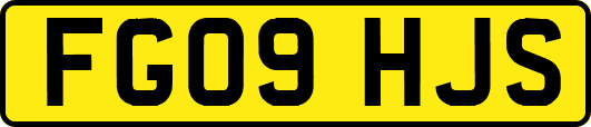 FG09HJS