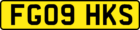 FG09HKS