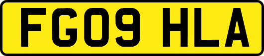FG09HLA