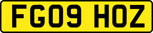 FG09HOZ