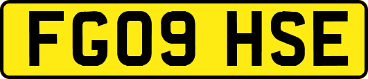 FG09HSE