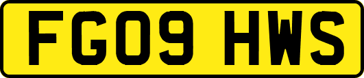 FG09HWS
