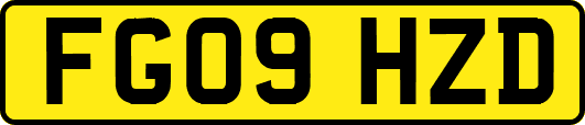 FG09HZD