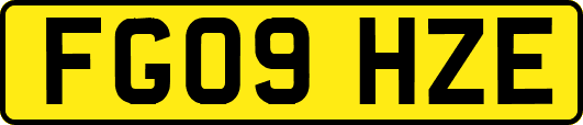 FG09HZE