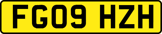 FG09HZH