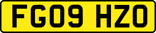 FG09HZO