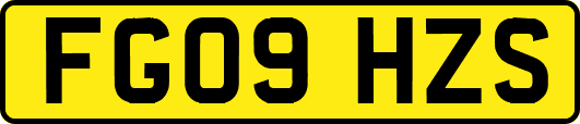 FG09HZS