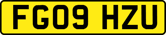 FG09HZU