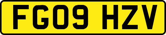 FG09HZV