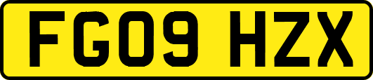 FG09HZX