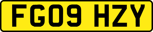 FG09HZY