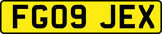 FG09JEX