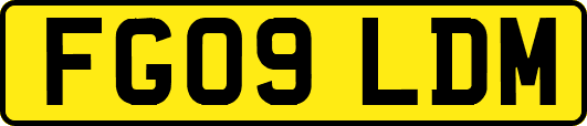 FG09LDM