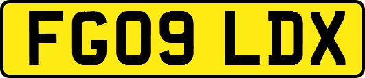 FG09LDX
