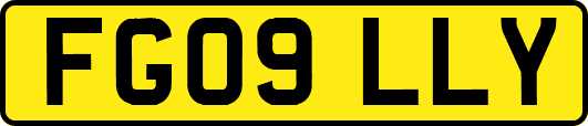 FG09LLY