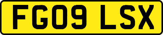 FG09LSX