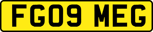 FG09MEG