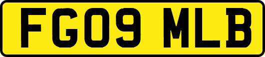 FG09MLB