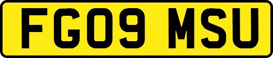 FG09MSU