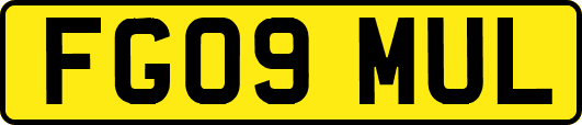 FG09MUL