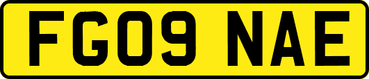 FG09NAE